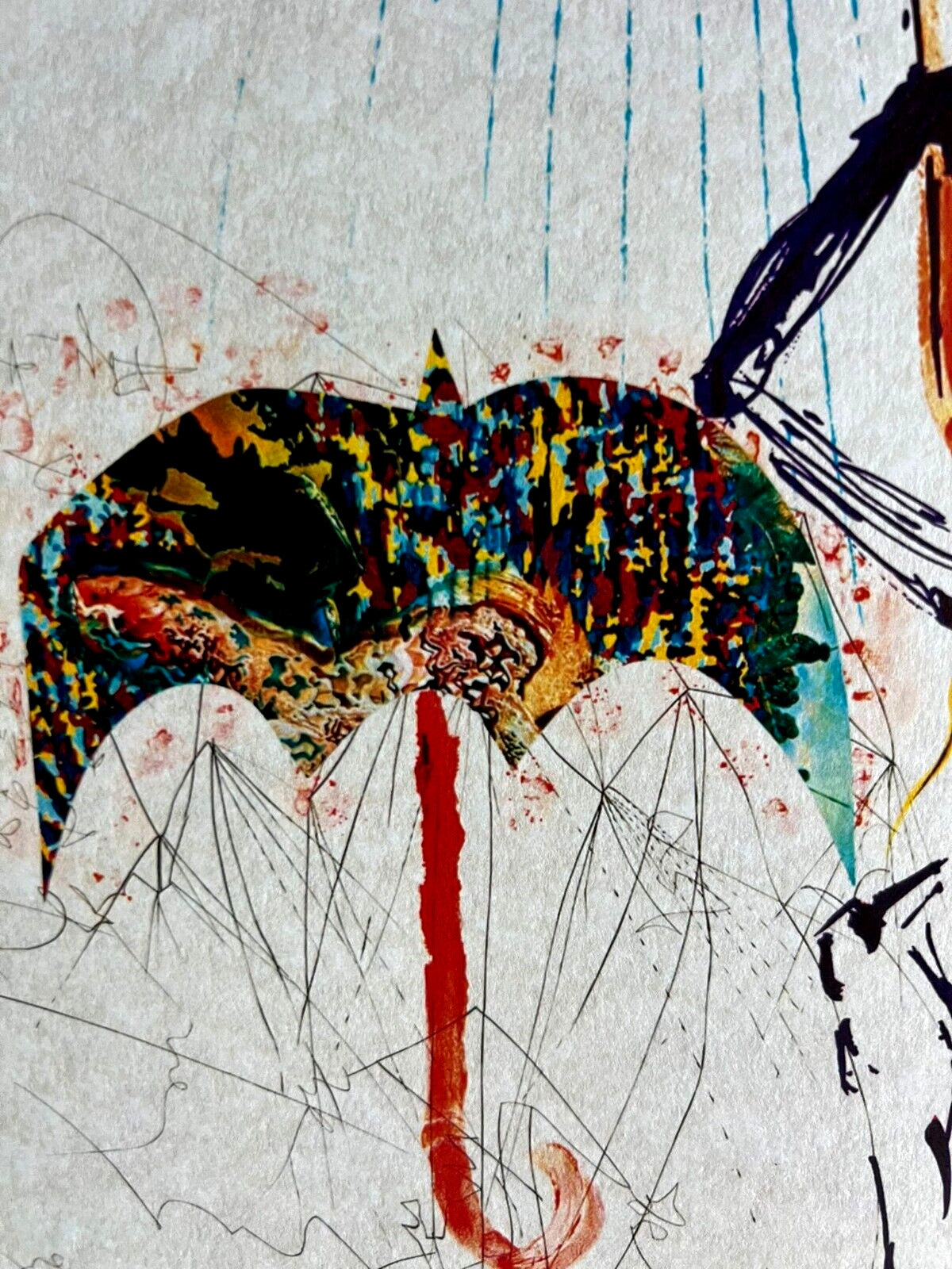 Salvador Dal Lithograph Coa Signed Numbered By Hand Pencil