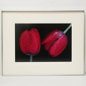 Ernst Haas Dye-Transfer Print 