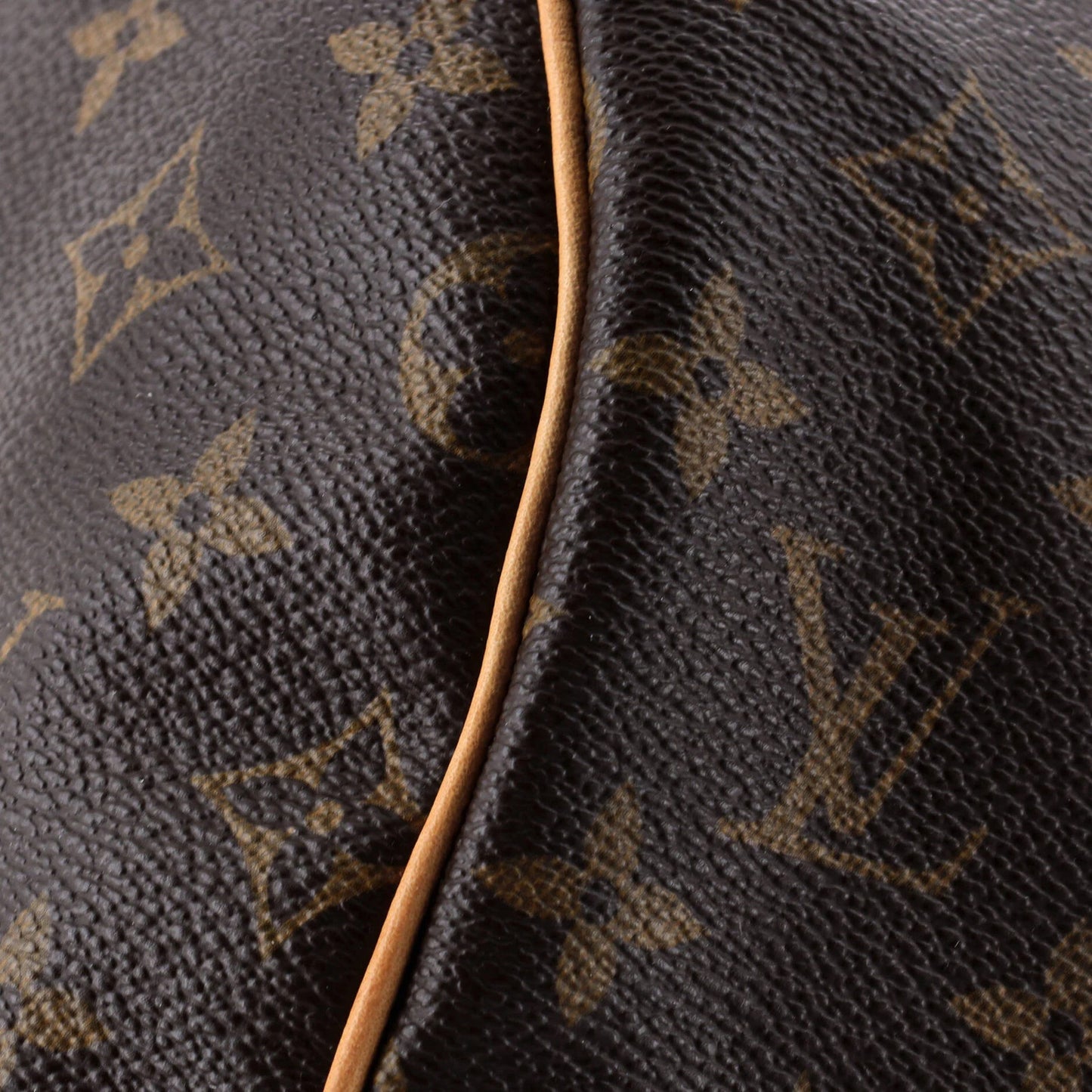 Louis Vuitton Speedy Handbag Monogram Canvas 30