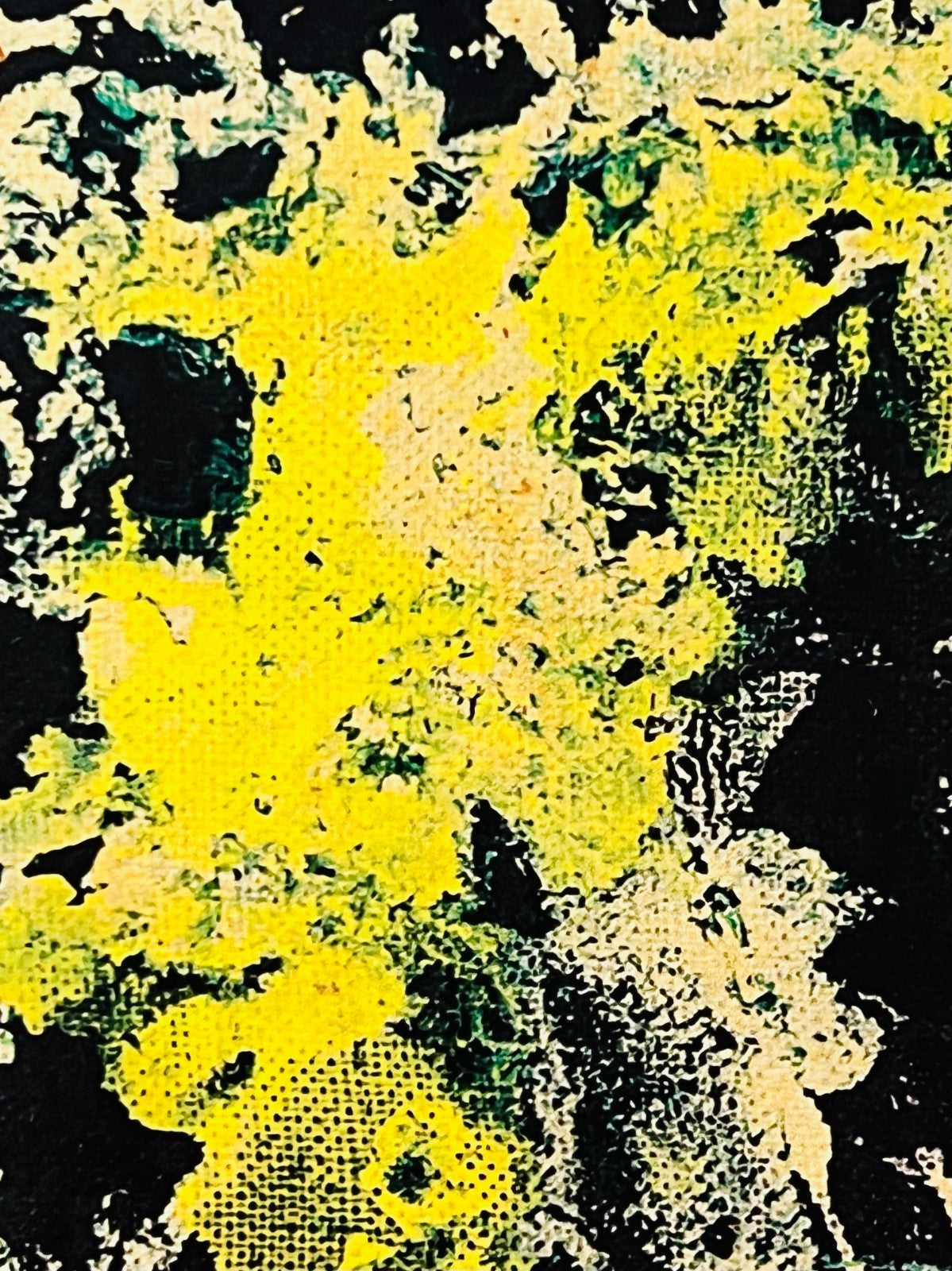 Jackson Pollock Action Painting Coa Signed Numbered By Hand. Eduardo Chillida