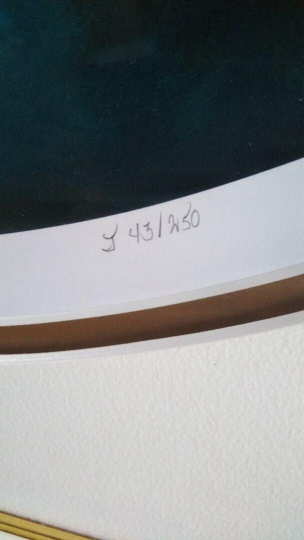 James Coleman - Reflections Ed250 Original Lithograph Print Signed Framed