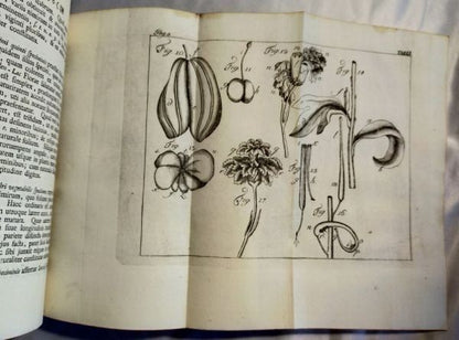 1751/1755 Acta Helvetica Vol.1-2 Basel Scientific Journal Bernoulli Engravings