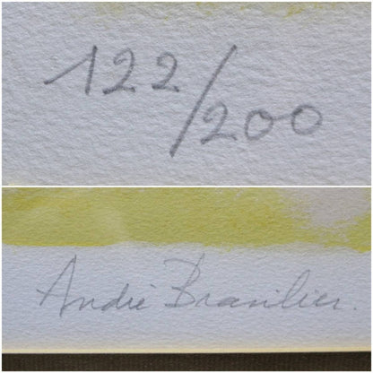 Andre Brasilier Original Lithograph "Black Horse" Signed Framed Ed200 With Coa