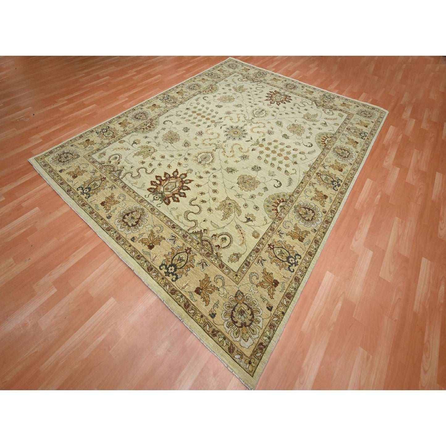 8'X10' Ivory Hand Knotted Agra Ziegler Design Leaf Pattern Pure Wool Rug