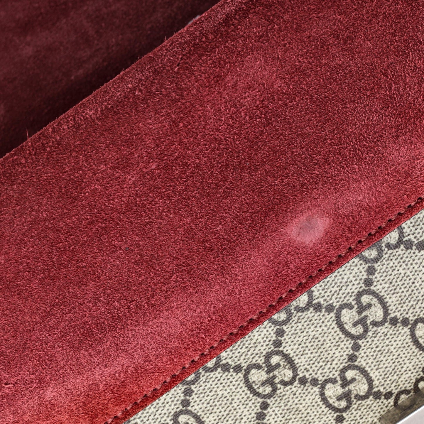 Gucci Dionysus Bag Blooms Print Gg Coated Canvas Small