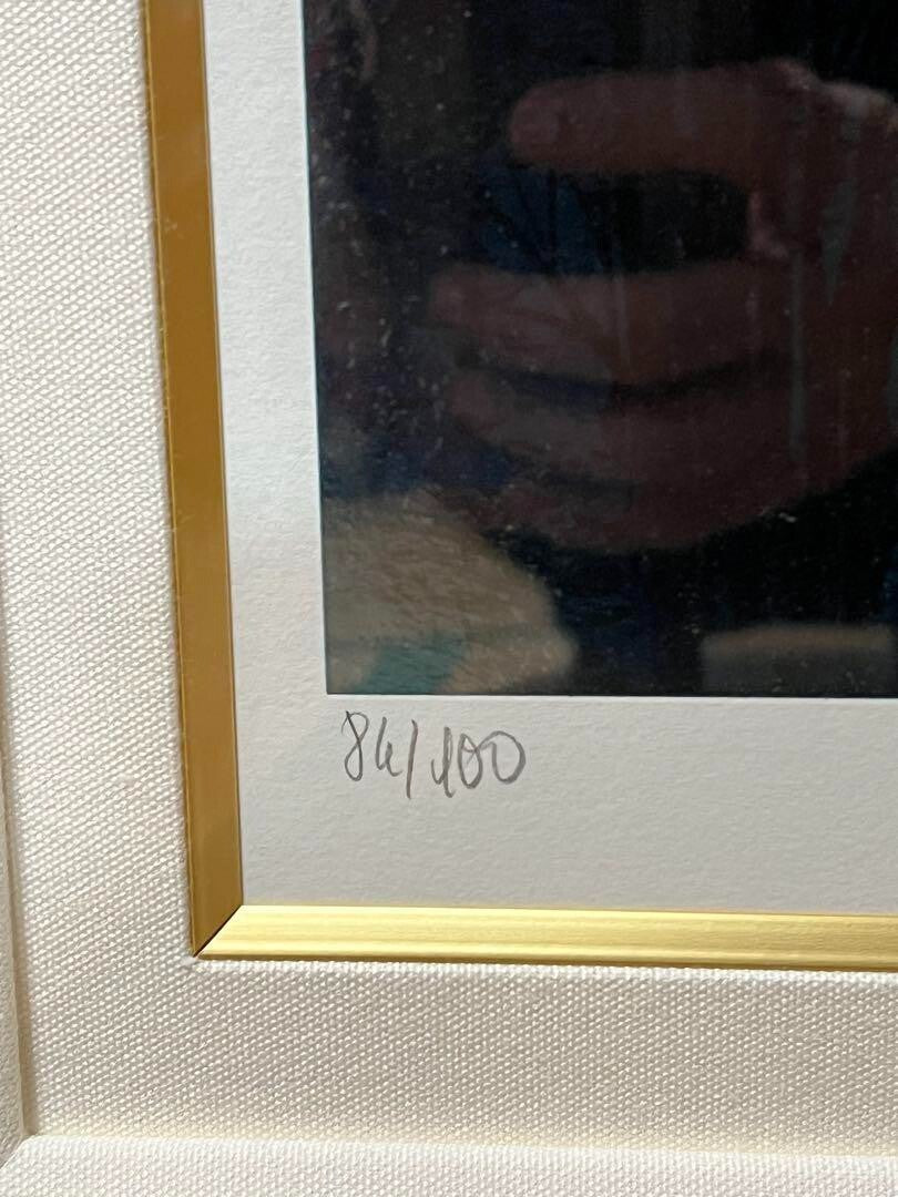 10 - Michel Batteau "Monsoon Valley" 84/ 100 Silkscreen Edition - signed and framed