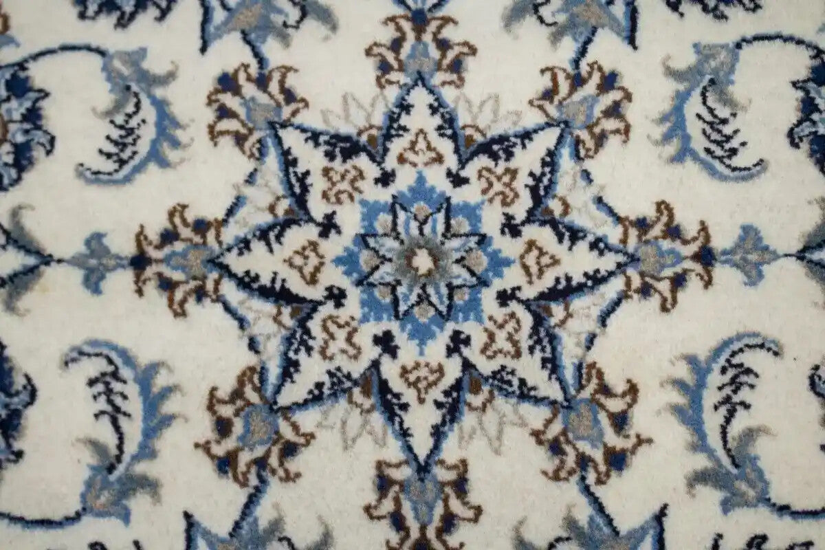 Small Entrance Traditional Thick Pile Area Rug