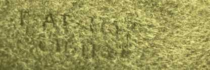 Celine Bicolor Luggage Bag Leather Micro