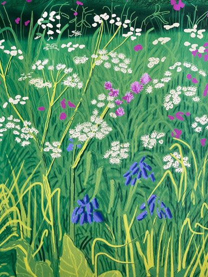 David Hockney Lithograph Handmade Coa Signed Op Numbered Limited &