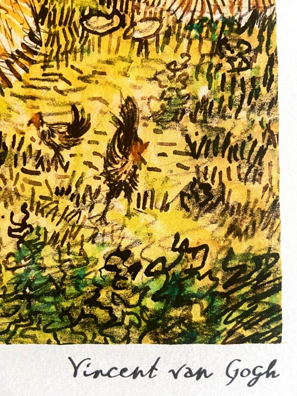 Vincent Van Gogh Lithograph From An Painting Coa Signed Op Numbered