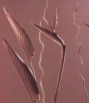 Conrad Johnson Sculpture Ii 