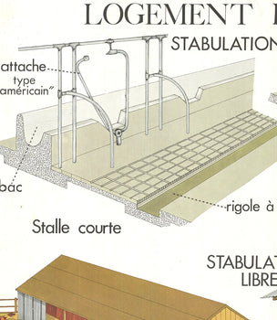 Emile Deyrolle Logement Des Bovins 
