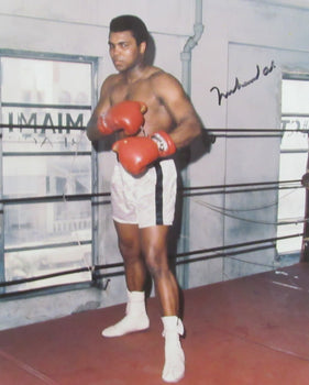 Muhammad Ali Signed/Autographed 8X10 Photo