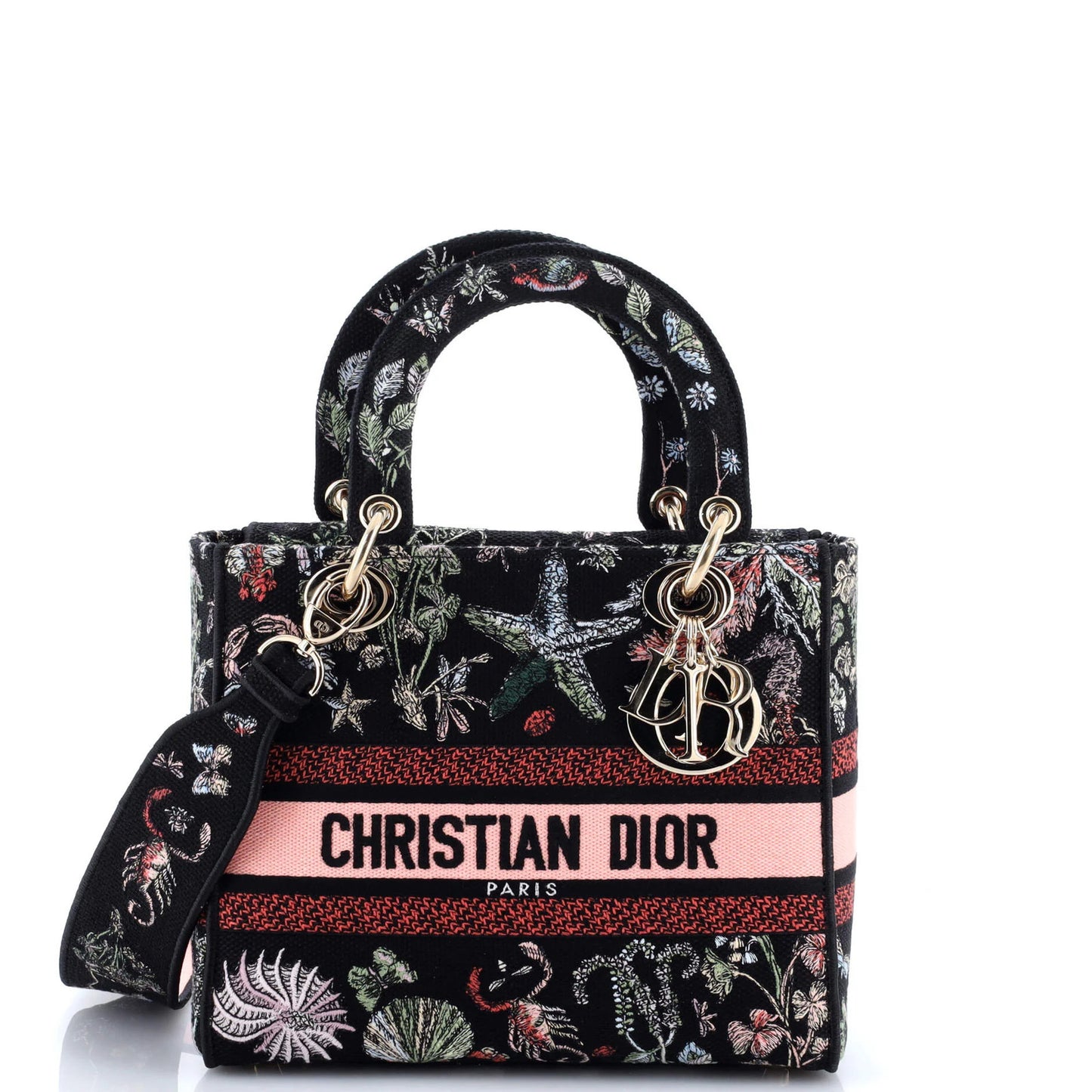 Christian Dior Lady D-Lite Bag Embroidered Canvas Medium