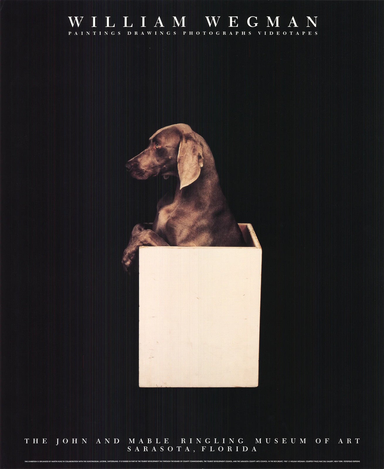 William Wegman In The Box (Right) " Offset Lithograph Pop Art