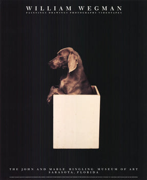 William Wegman In The Box (Right) 
