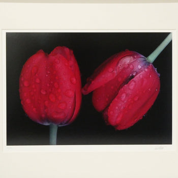 Ernst Haas Dye-Transfer Print 