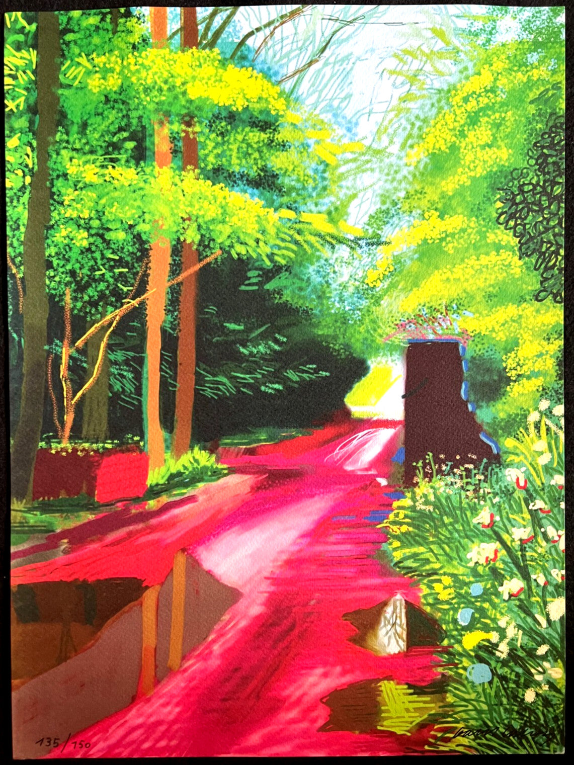 David Hockney Lithograph Coa Signed Op Numbered A Hand Limited &