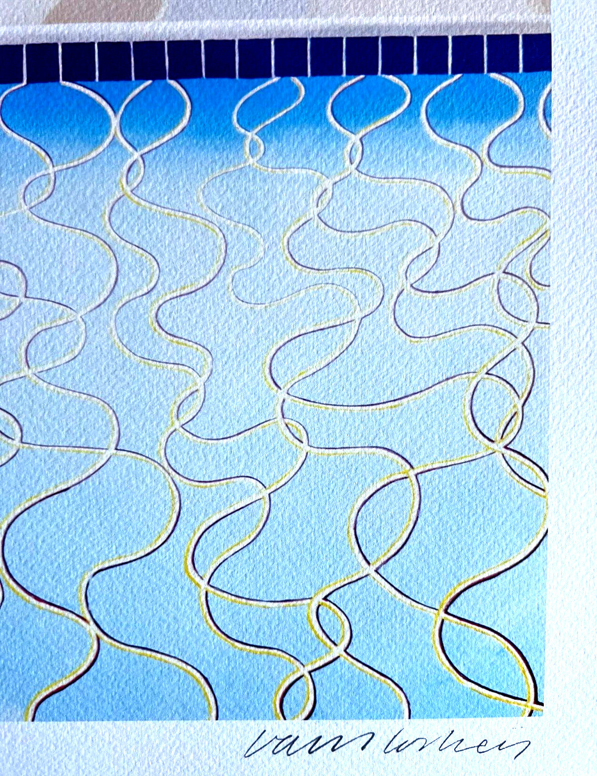 David Hockney Lithograph Coa Signed Op Numbered Limited