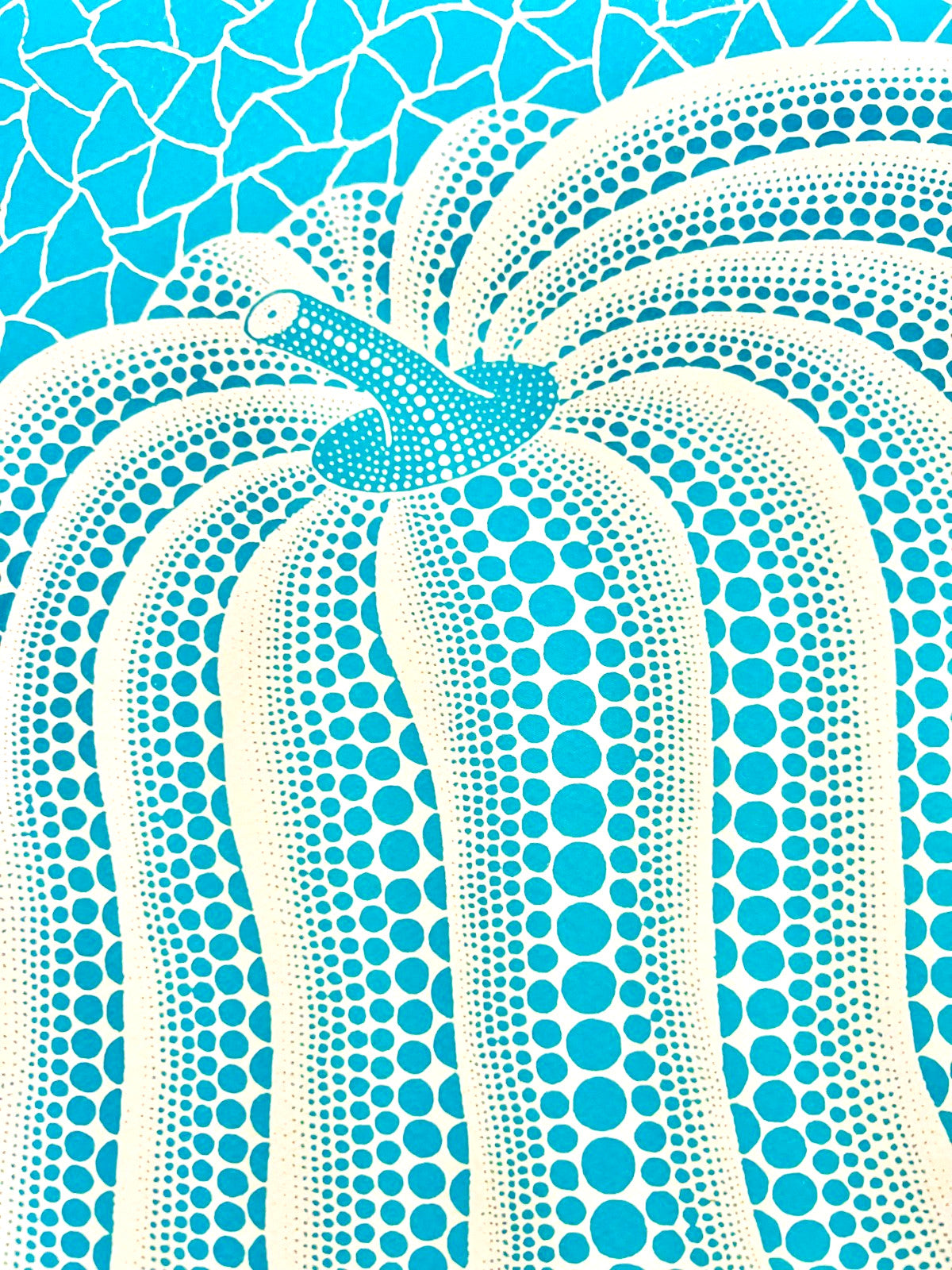 Yayoi Kusama Lithograph Mori Museum Coa Numbered Limited Fit