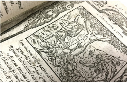 Andrea Alciati - Emblemata 16Th Century Coat Of Arms Illustration Book Latin