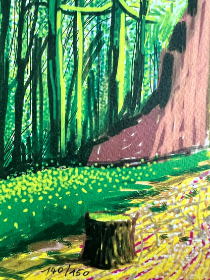 David Hockney Lithograph Coa Signed Op Numbered