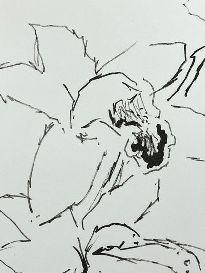 Oskar Kokoschka Original Lithograph "Orchid" 1970S Signed & Numbered 32/50 Frame