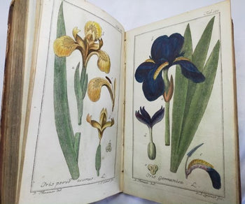Johannes Zorn Icones Plantarum Medicinalium Vol Ii 1784 2Nd Ed Hand-Colored
