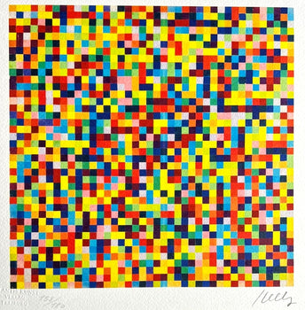 Ellsworth Kelly Lithograph Coa Signed Op Numbered