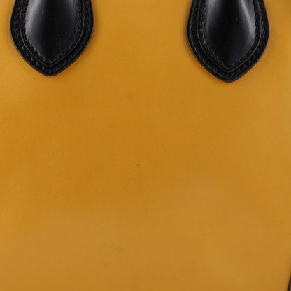 Celine Bicolor Luggage Bag Leather Micro