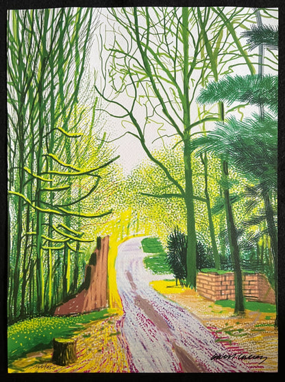 David Hockney Lithograph Coa Signed Op Numbered
