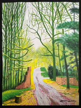 David Hockney Lithograph Coa Signed Op Numbered