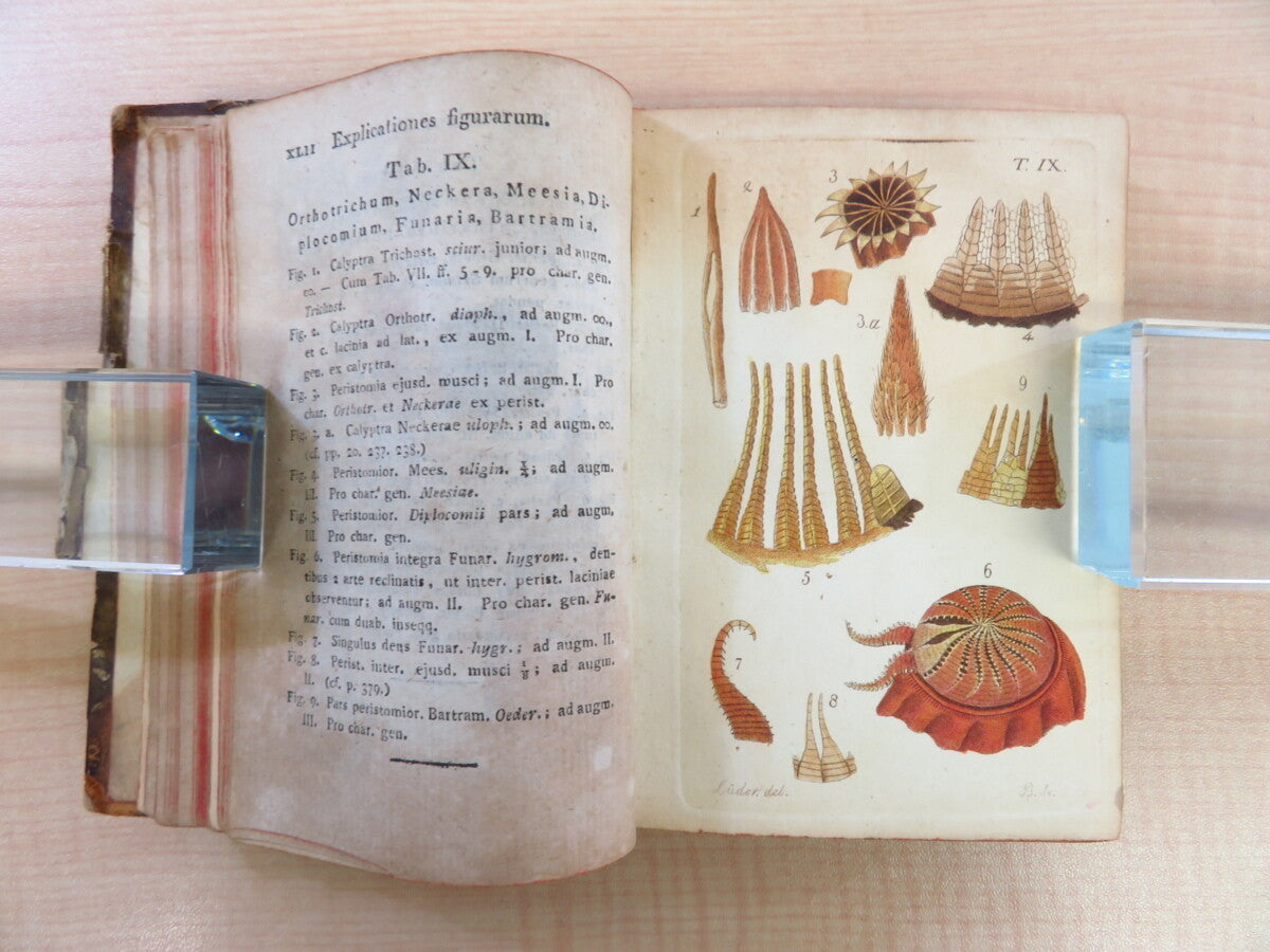 Friedrich Weber ?Botanisches Taschenbuch Auf Das Jahr 1807?Rare Botanical Book