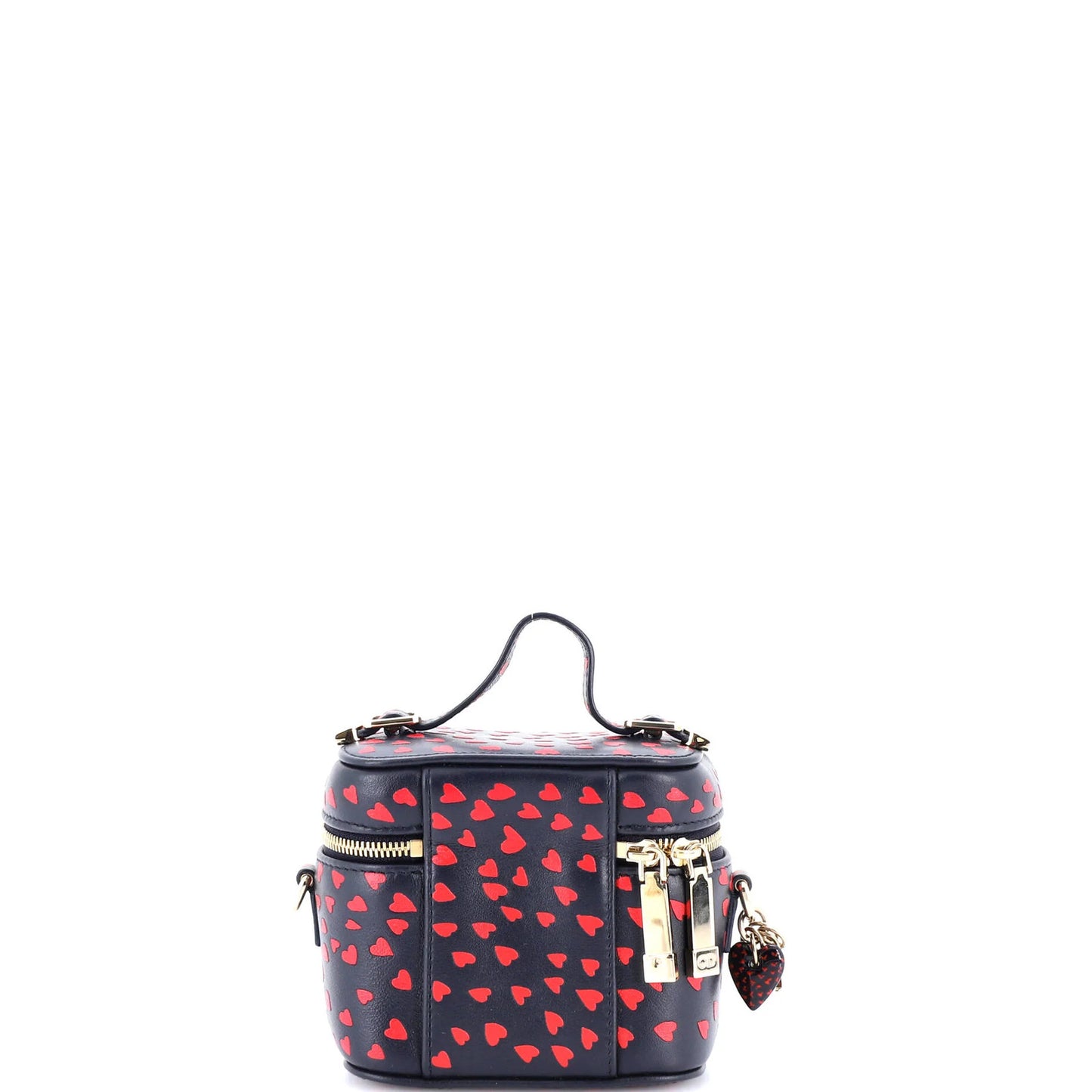 Christian Dior Lady Dior Vanity Case Printed Leather Micro