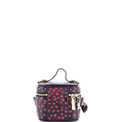 Christian Dior Lady Dior Vanity Case Printed Leather Micro