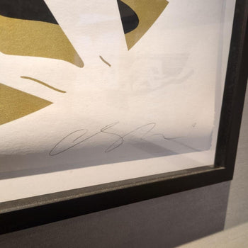 Cleon Peterson Original Lithograph Art Print