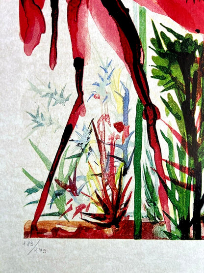 Salvador Dal Lithograph From An Drawing Coa Signed Op Rare