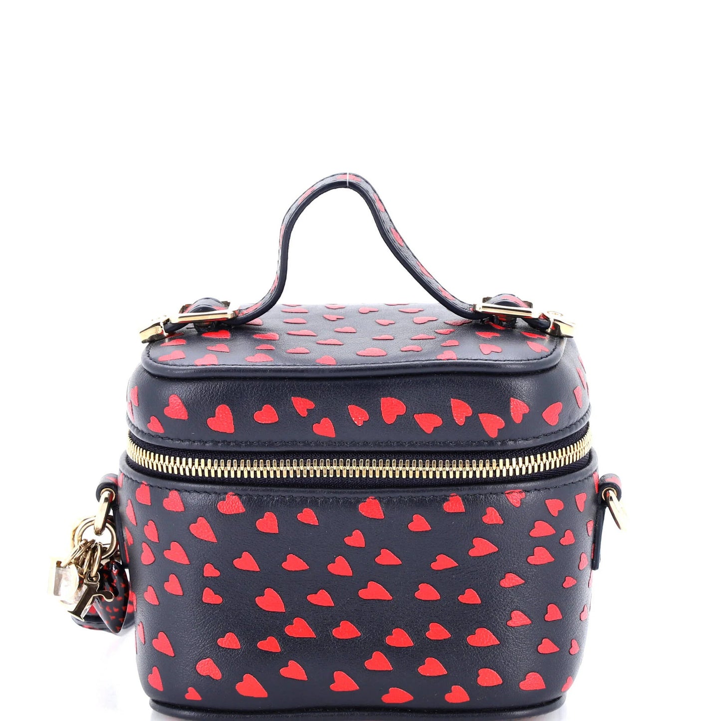 Christian Dior Lady Dior Vanity Case Printed Leather Micro