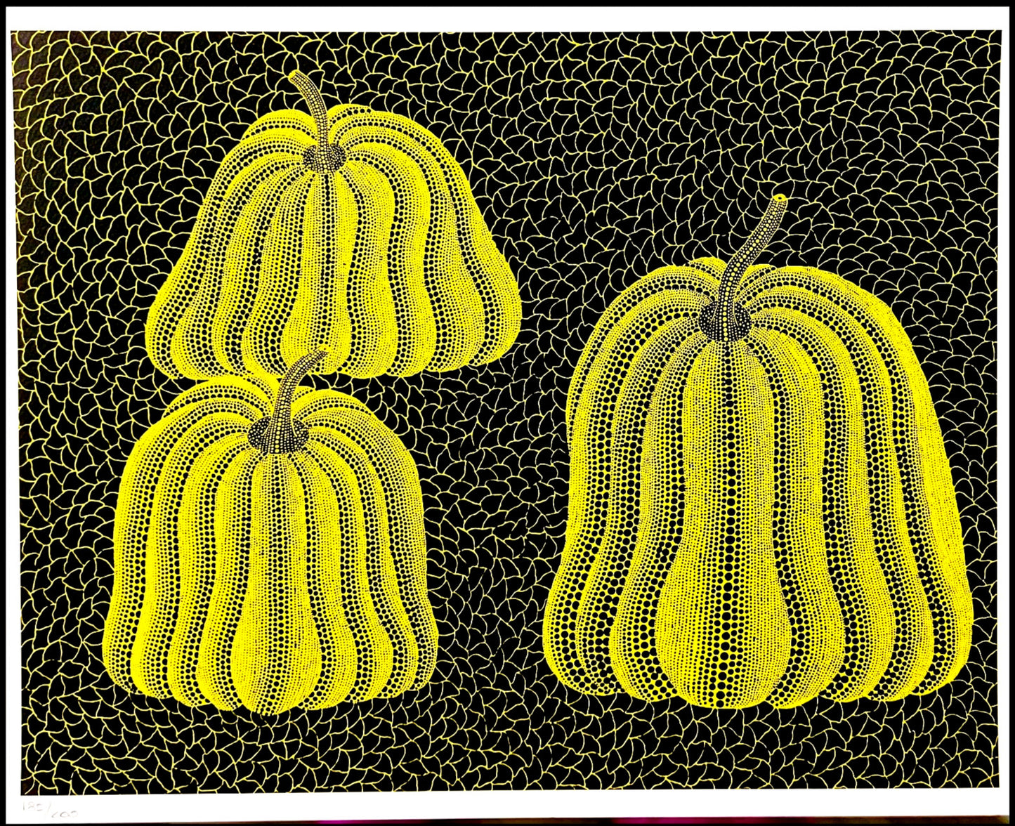 Yayoi Kusama Lithograph Mori Museum Coa Original Numbered Limited To 200