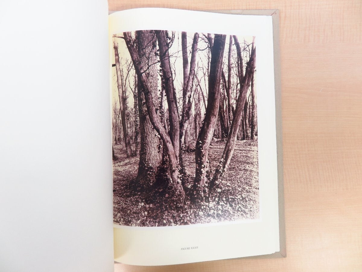 Eugene Atget'S Trees 2003 1St Edition Limited 982/1000 Large Format Photography