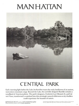 Joel Greenberg Central Park 