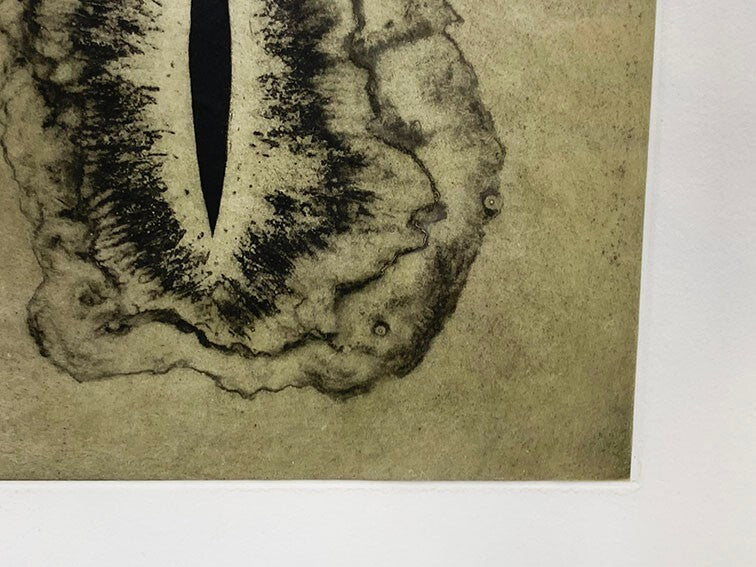 Anish Kapoor Original Etching Pencil Signed