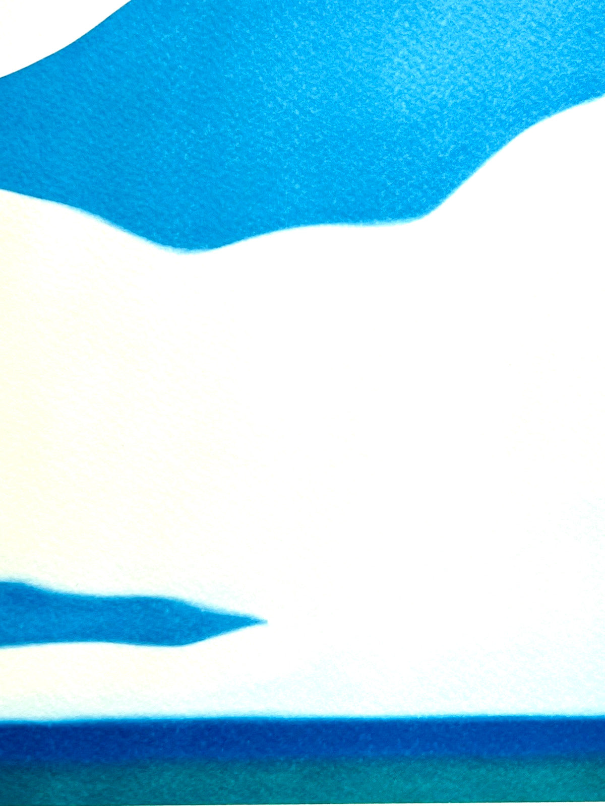 Tom Wesselmann Lithograph Coa Signed Op Numbered, Pencil