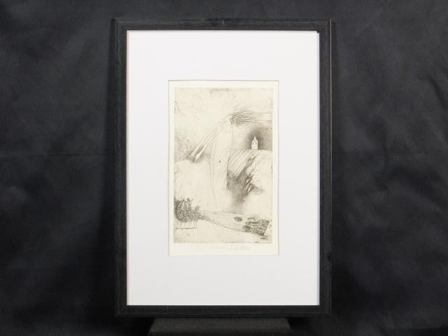 Veronika Paleckova "Peacock And Figure" Signed Etching Limited 30 Framed Art