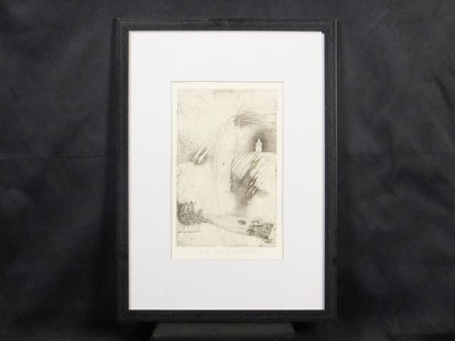 Veronika Paleckova "Peacock And Figure" Signed Etching Limited 30 Framed Art
