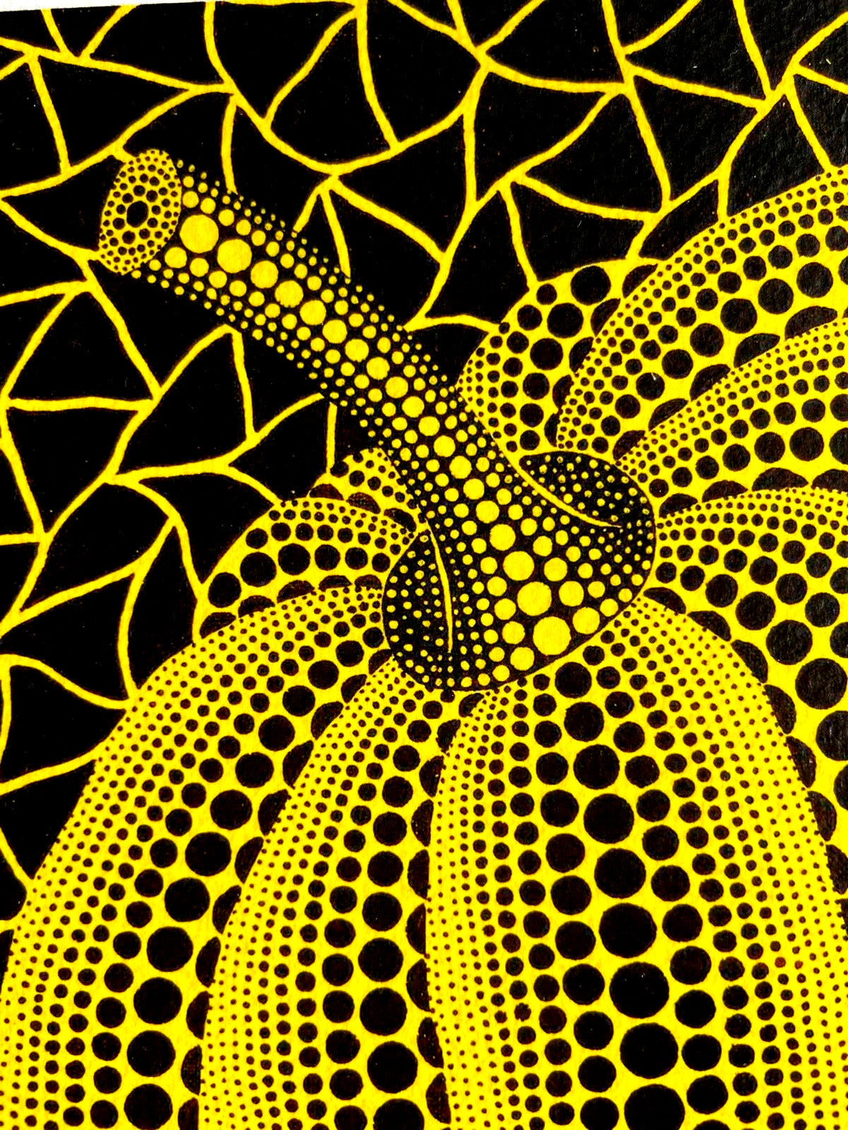Yayoi Kusama Lithograph Mori Art Museum Coa Rare