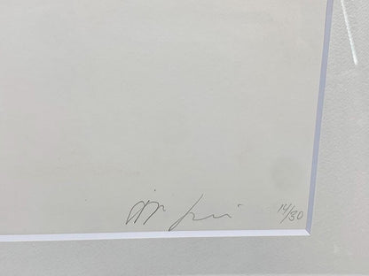 Anish Kapoor "Blackness from Her Womb 6" Edition Autographed Framed