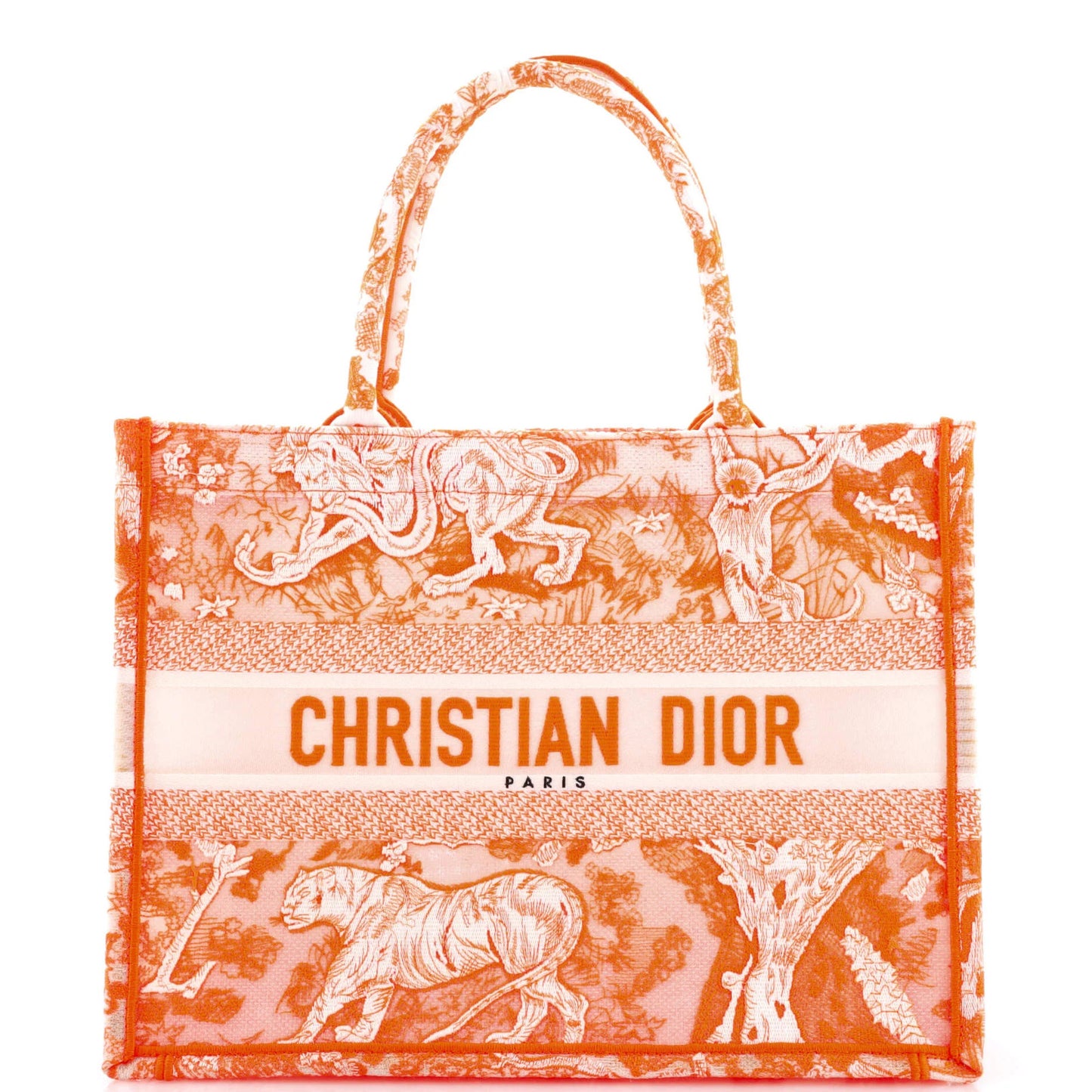 Medium Christian Dior Book Tote Embroidered Canvas
