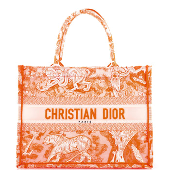 Medium Christian Dior Book Tote Embroidered Canvas