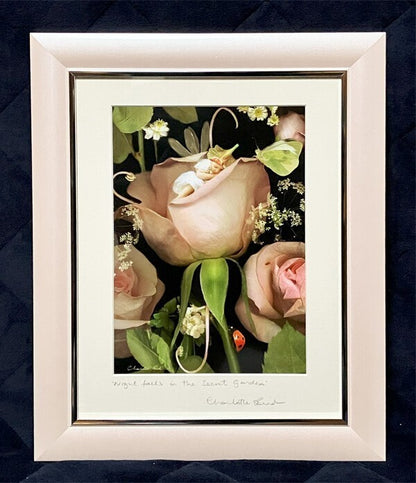 Charlotte Bird (Uk) Photograph Print Fairy Rose